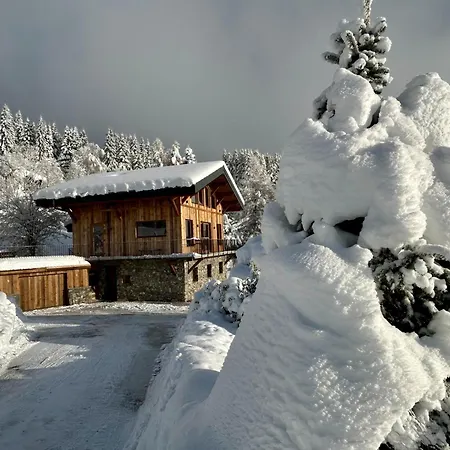 Chalet Cagou - - Vue Mont-blanc Les Gets