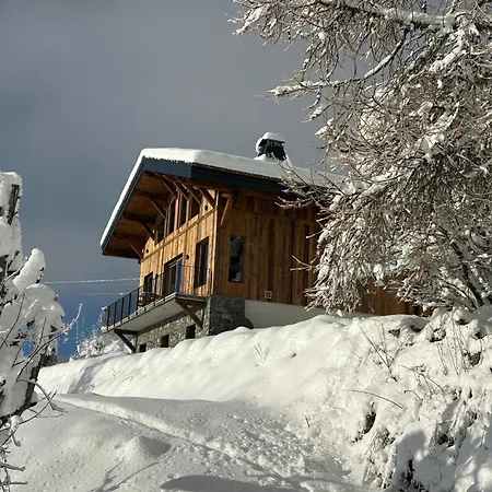 Cagou - - Vue Mont-blanc * Les Gets
